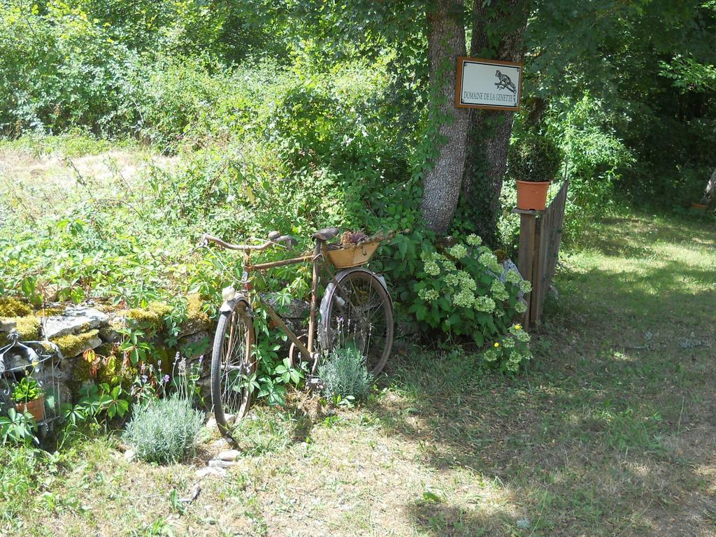 Paussac-et-Saint-Vivien Le Domaine De La Genetteヴィラ エクステリア 写真